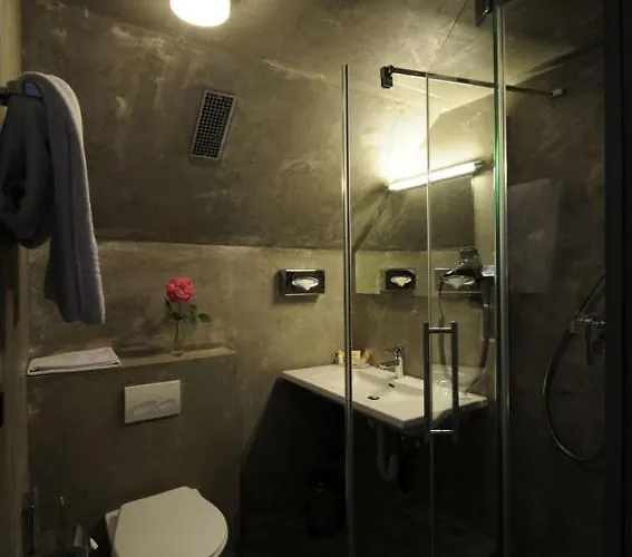 מלון Limmatblick 3*