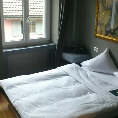 Hotel Limmatblick 3*