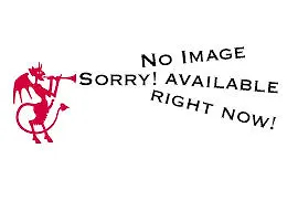 Hotel Limmatblick Zurich