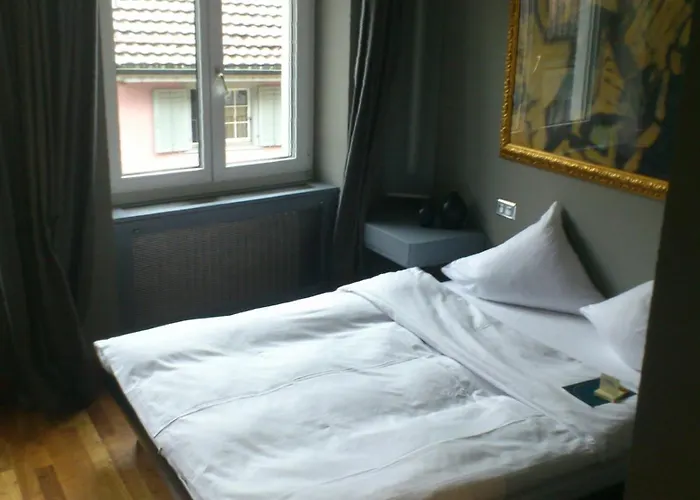 Hotel Limmatblick 3*